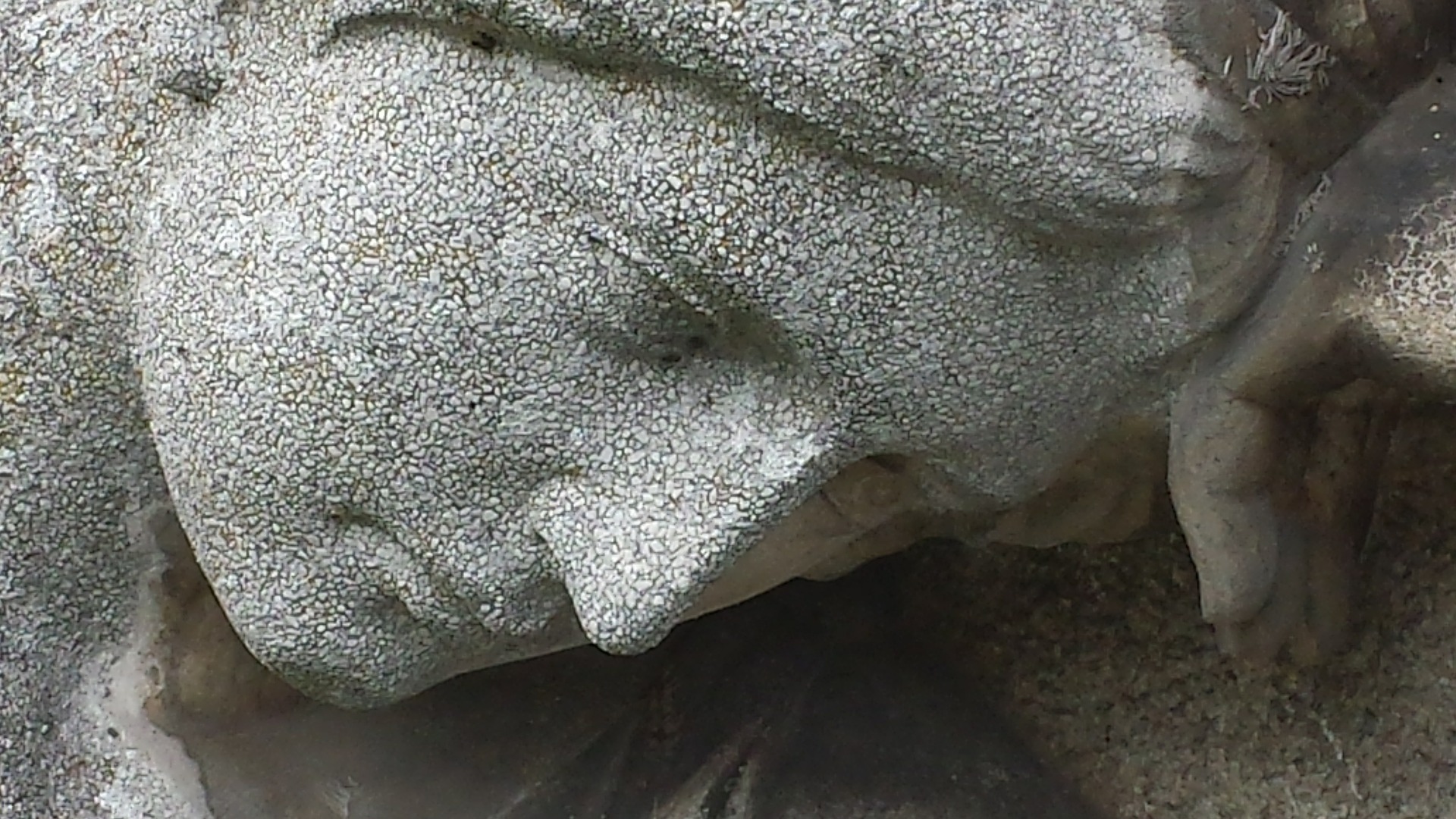 refoulé ses émotions sculture triste